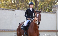 日韩性猛交ⅹxxx乱大交